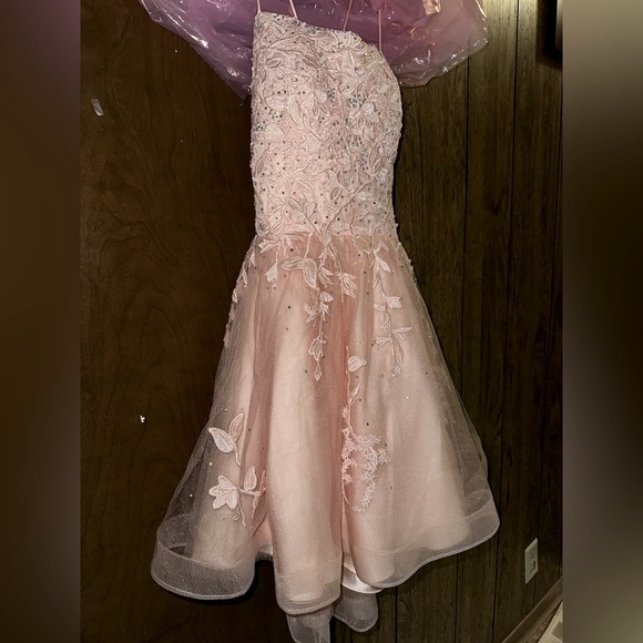 Beautiful Homecoming/Prom/Formal Dress - Pink Lace/Floral Embroidery - Picture 4 of 6